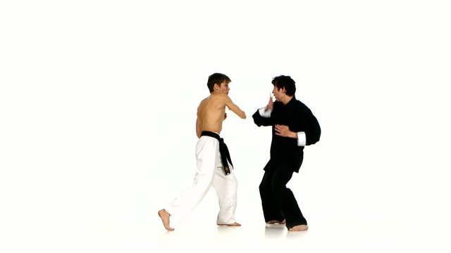 sparrynh taekwondo and karate man on a white 