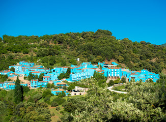 Juzcar, blue Andalusian village in Malaga