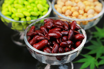  レッドキドニー