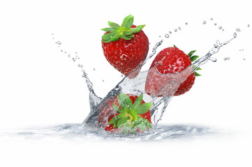 Obst 264