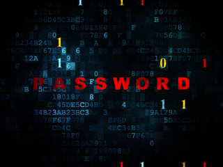 Privacy concept: Password on Digital background