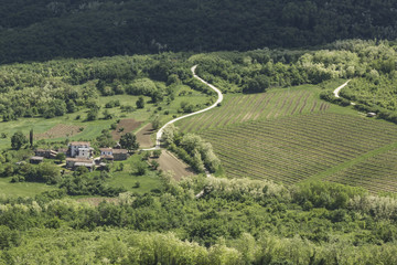 Obraz premium Village de Motovun