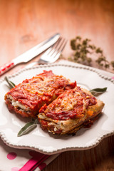 Italian lasagne,selective focus