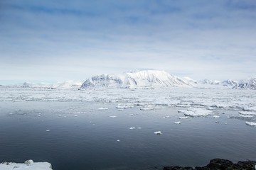 Arktyczna wiosna na południowym Spitsbergenie © KrisGrabiec