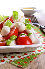 Mozzarella, tomatoes and basil