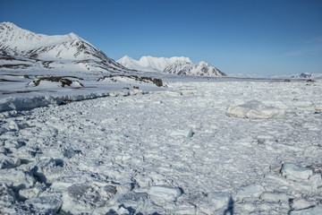 Arktyczna wiosna na południowym Spitsbergenie © KrisGrabiec