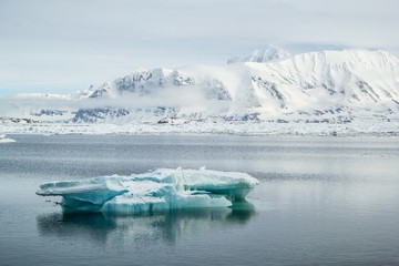 Arktyczna wiosna na południowym Spitsbergenie © KrisGrabiec