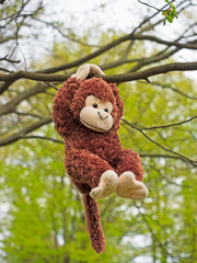 Fototapeta premium Plüsch-Affe im Baum