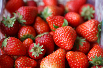 Fresh organic strawberries