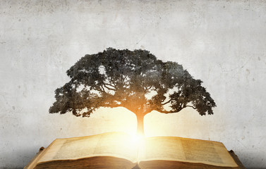 Reading develops imagination