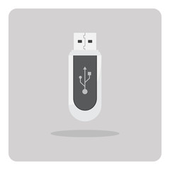 Vector of flat icon, USB flash drive on isolated background