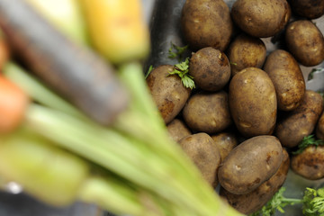 Karotten oder Möhren frische Bio Kartoffeln an denen noch Erde Klebt 