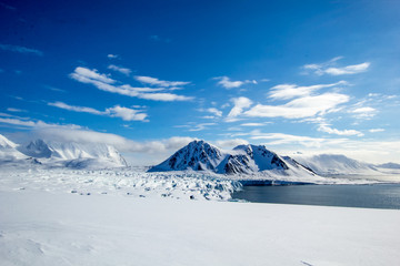 Fototapeta na wymiar Arktyczna wiosna na południowym Spitsbergenie