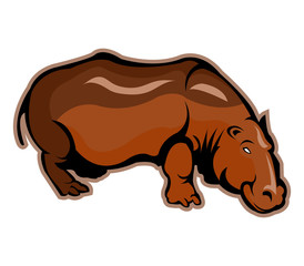 vector illustration of hippopotamus 