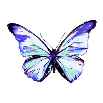 butterflies design