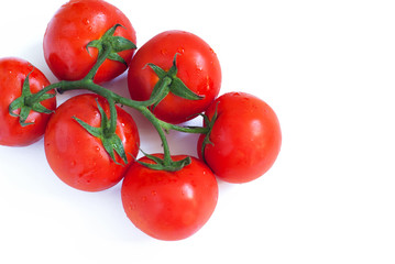 Branch of fresh tomatoes