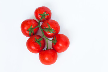 Branch of fresh tomatoes