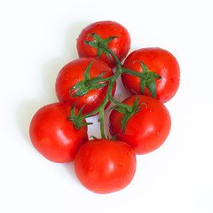 Branch of fresh tomatoes