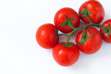Branch of fresh tomatoes