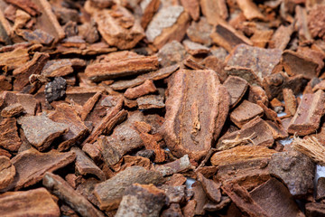Cinnamon