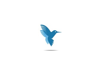 fly birds logo, icon, vector, wing, template