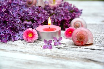 Fototapeta na wymiar Grußkarte - Teelicht mit Flieder Blüten