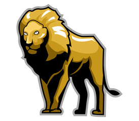 Fototapeta na wymiar A standing big brown lion. 