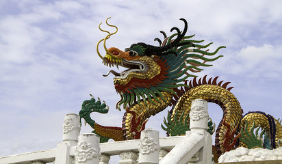 Fototapeta premium The colorful chinese dragon.