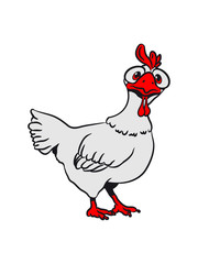 Stupid funny chicken