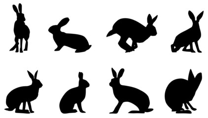 Feldhasen © frilled_dragon