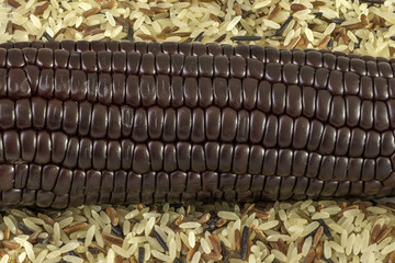 Black corn and rice © mesteban75