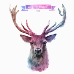 Vector set of watercolor illustrations. Cute deer
