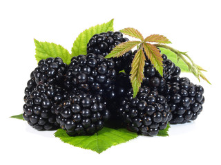 Brombeeren © ExQuisine