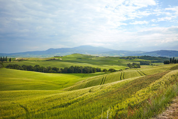 Fototapeta na wymiar Beautiful Tuscany hills, Italy.