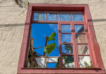 Planta na janela sobre céu azul