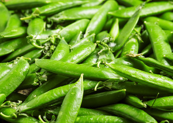 Young green peas on a wooden table, selective focus
