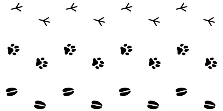 Collection Of Animal Footprint Tracks / Vector