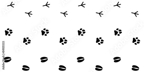 Download "Collection Of Animal Footprint Tracks / Vector" fichier ...