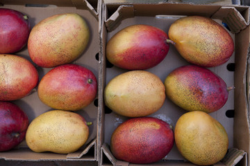 Mangos