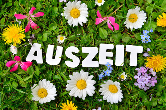 Auszeit auf Blumen Wiese