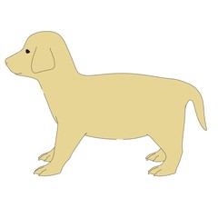 2d illustration of Retriever Puppy