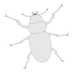 2d cartoon image of lucanus cervus