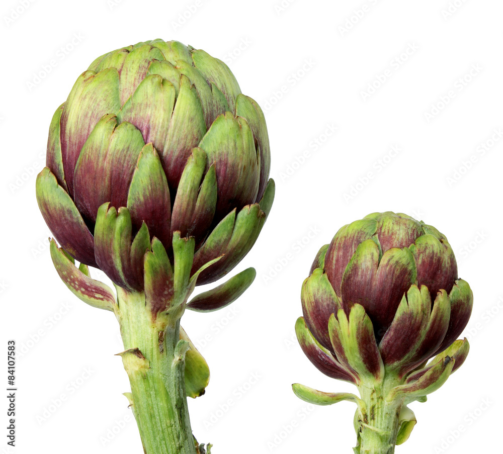 Poster Artichokes