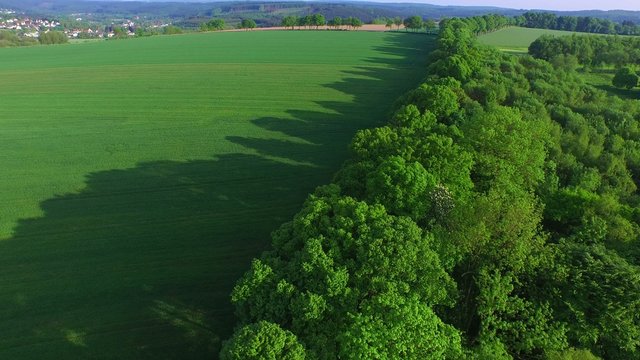 4K Aerial View Of A Forrest In Germany, Alley