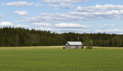 Old barn in the field © photojanski