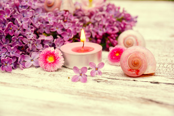 Fototapeta na wymiar Grußkarte - Entspannung - Teelicht mit Blüten 