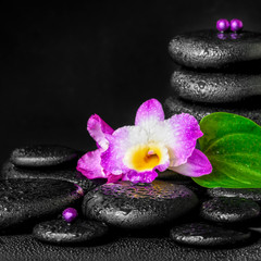 spa concept of purple orchid flower, green leaf, pyramid zen bas