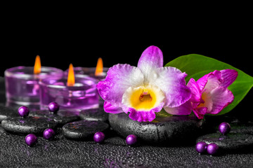 Fototapeta na wymiar spa background of purple orchid dendrobium, green leaf Calla lil