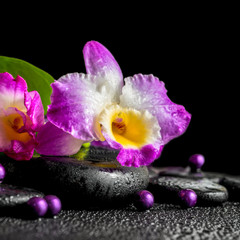 Fototapeta na wymiar spa still life of purple orchid dendrobium, green leaf Calla lil