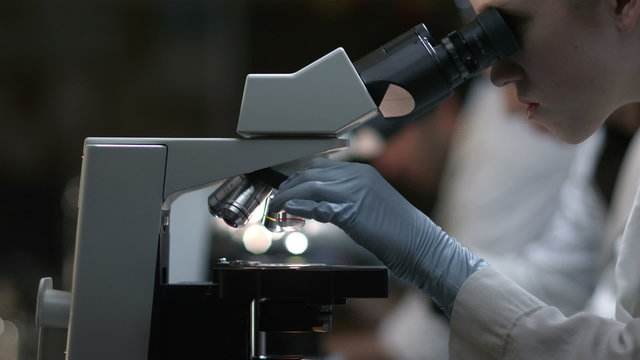 University Students in a laboratory look through a microscope 